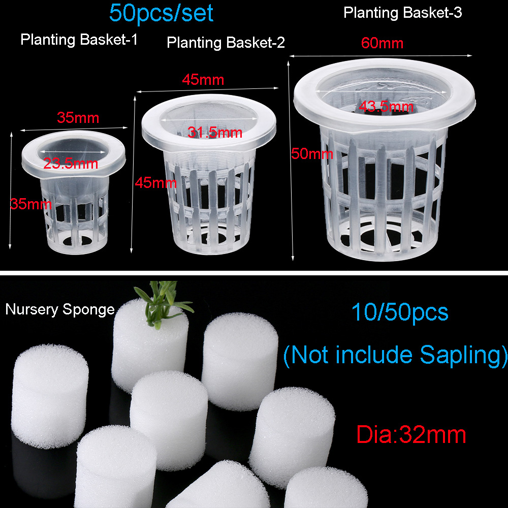 อุปกรณ์ทำสวน 10/50 ชิ้น สำหรับ - Aquarium Planted Seeds บทวิจารณ์และราคา