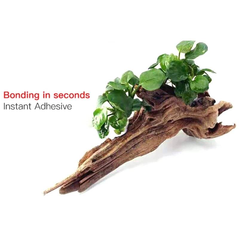 กาวมอส 1.8 ออนซ์/3.5 ออนซ์ แห้ - Planted Aquarium Moss บทวิจารณ์และราคา